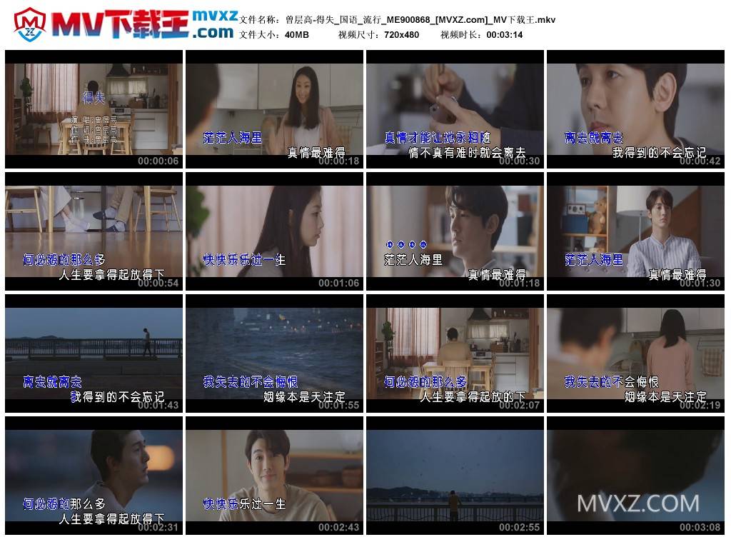 曾层高-得失_国语_流行_ME900868